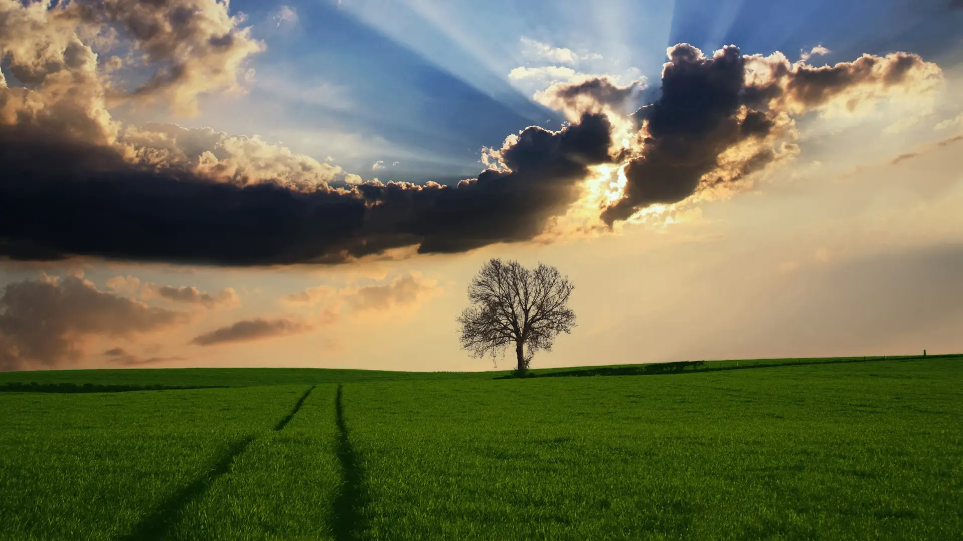 欢迎使用 Typecho